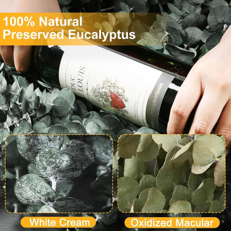 12 PCS Dried Eucalyptus Bundle for Shower - 17