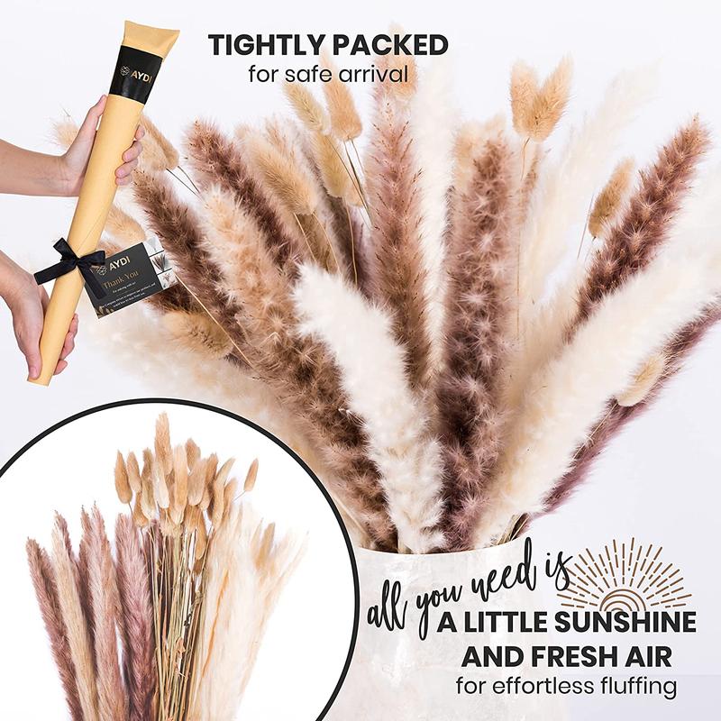 AYDI 60 Pcs Pampas Grass Decor, 15Pcs Natural Brown, 15Pcs White Pampas and 30Pcs Bunny Tails with BONUS 1 Scented Rose Buds for Dining Room, Lounge, Bedroom, Living Room, Party, Patio, Wedding Decor, Special Events Decorative Plants fruit plant Ornaments