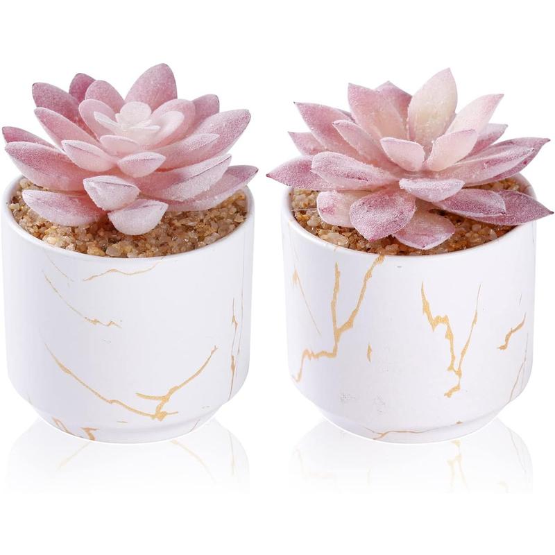 Artificial Plants and Succulents in 1 or 2 White Ceramic Pots,Small Fake Plants for Office and Desk Decor,Bathroom, Bedroom,Shelves for Women