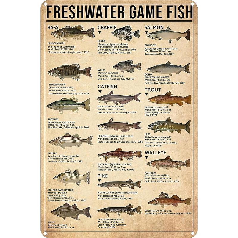 Boy's Fishing Gifts Vintage Fresh Water Gamefish Knowledge Tin Sign for Man Cave Bedroom Lake House Cabin Wall Art Decor 8x12 Inch (3069) Hanging Ornaments