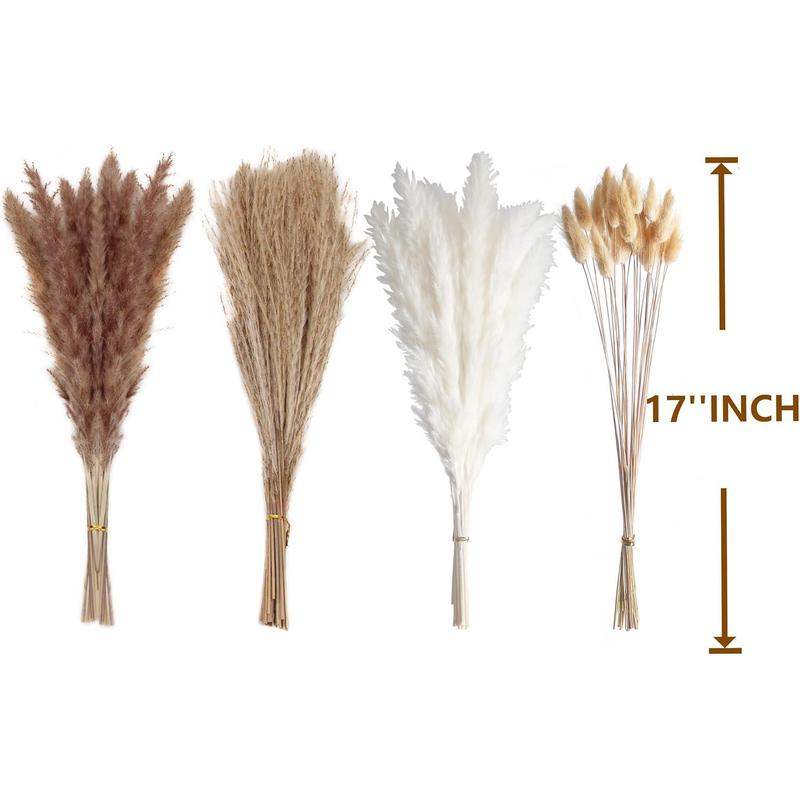 100 PCS Small Boho Pampas Grass 17