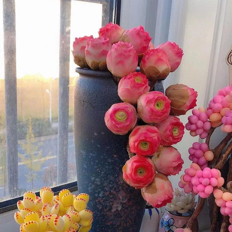 1000 Pcs Mixed Colors Succulent Rose Rare Succulent Plant Seed Group Multi-Headed Wine Glass Rose Office Desktop Good to Keep in All Seasons Colorful Decor