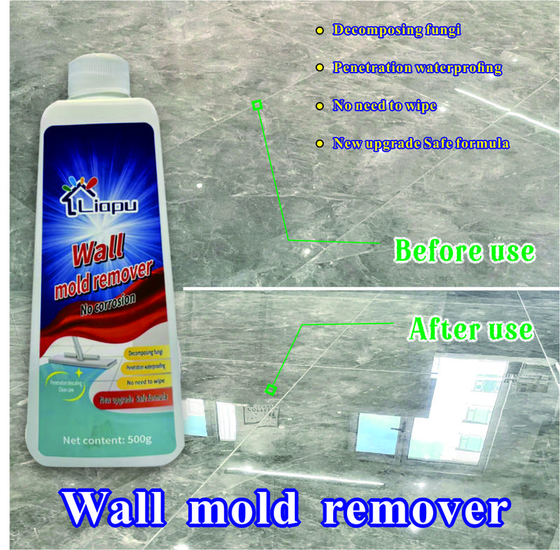 Highly Effective Mould Removal Spray - Prevents Mould Regrowth