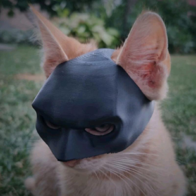 Batman 3d Printed Mask for Cat Kitty Decor