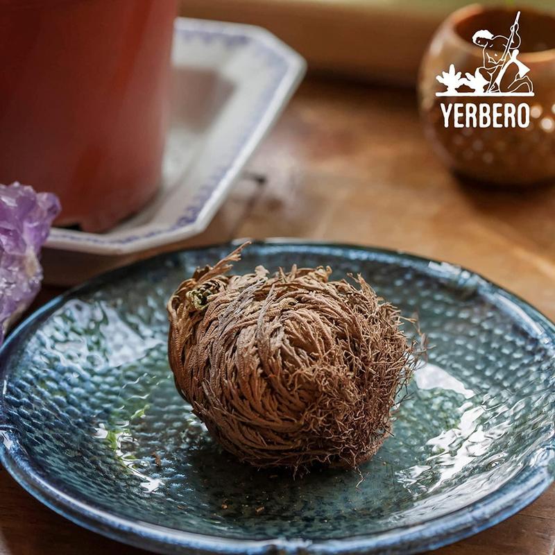 Yerbero - 6 Pack Big Rose Jericho Dried Flower 2.5''-3.5'' | Selaginella Lepidophylla | Resurrection Plant | Jumbo Size Dried Rose | Abundance, Prosperity, Sacred Rose, Doradilla Plant | 3.5'' - 6''