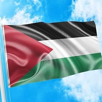 Palestine Flag, Palestinian Flag (3 FOR $40) Banners