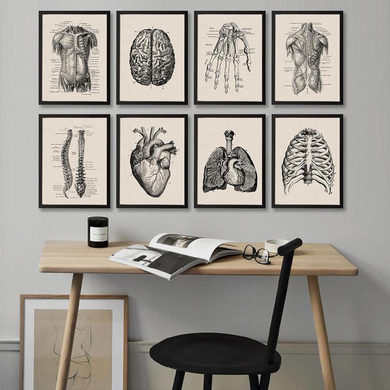 Anatomy Pattern Unframed Painting, 8 Counts set Human Anatomy Vintage Canvas Poster, Modern Wall Art for Home Office Bar Hospital School Decoration, Bedroom Decor