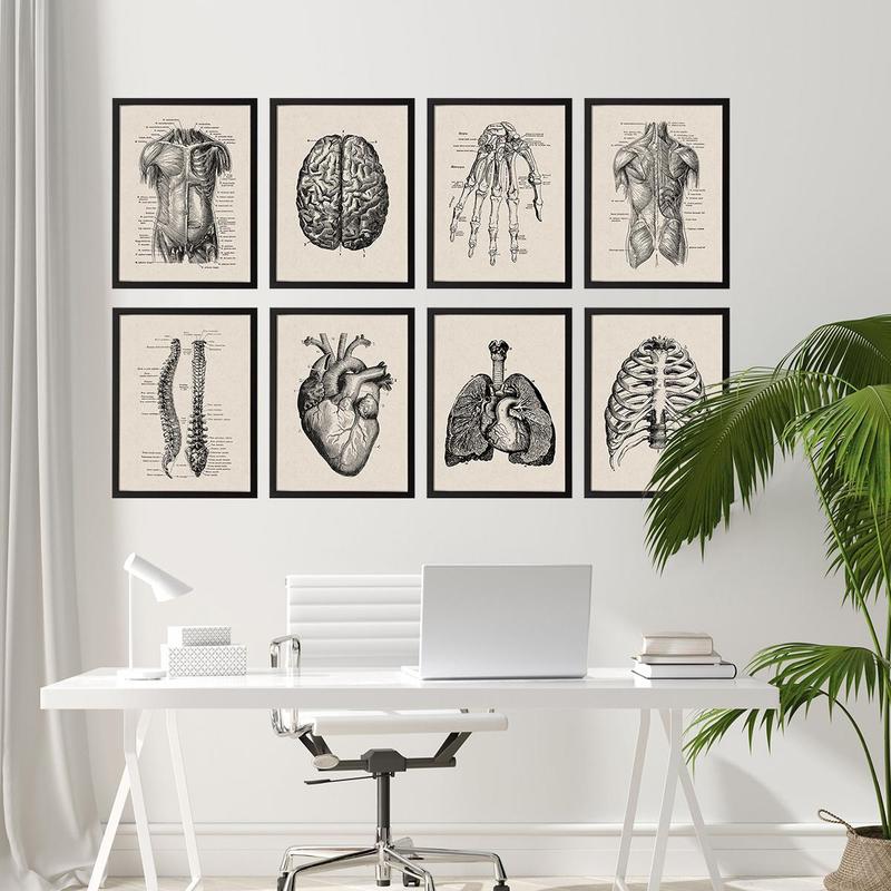 Anatomy Pattern Unframed Painting, 8 Counts set Human Anatomy Vintage Canvas Poster, Modern Wall Art for Home Office Bar Hospital School Decoration, Bedroom Decor