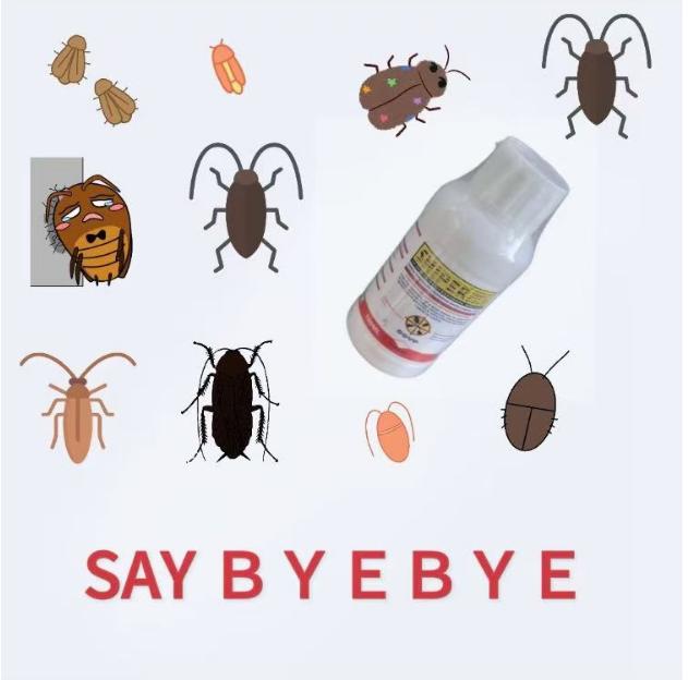 Effective non-toxic solution for cockroaches