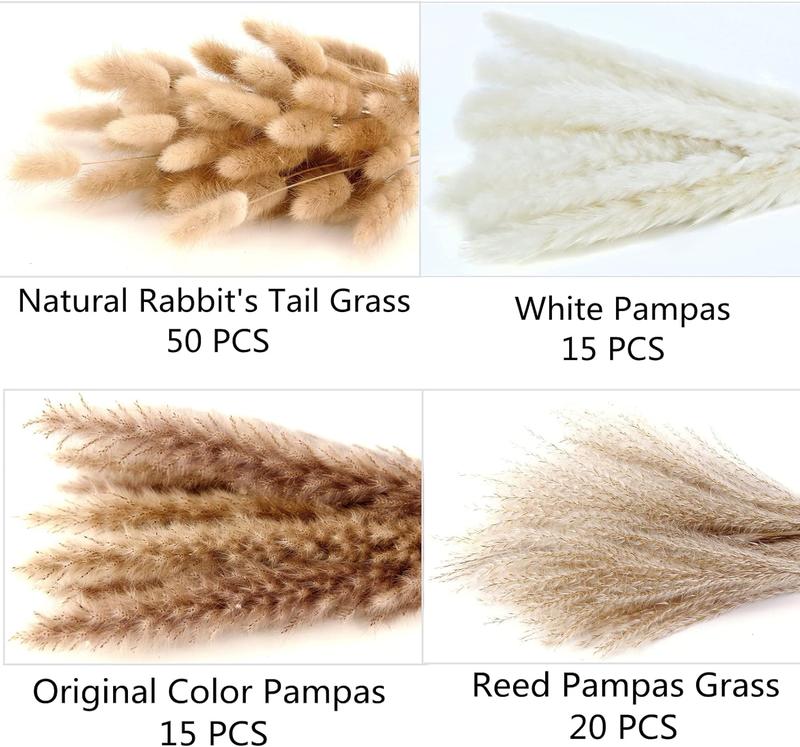 100 PCS Pampas Grass Contains Bunny Tails Dried Flowers, Reed Grass Bouquet for Wedding Boho Flowers Home Table Decor, Rustic Farmhouse Party (White and Brown) Decorative Fruit