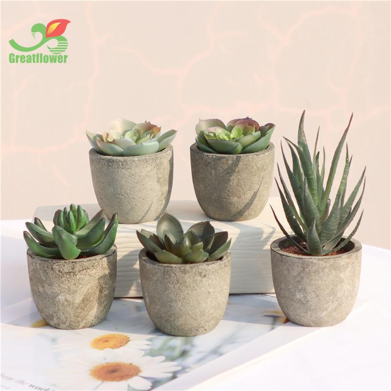 5pcs Artificial Potted Succulent, Round Home Decorative Fake Succulent Pot For Balcony Windowsill Garden