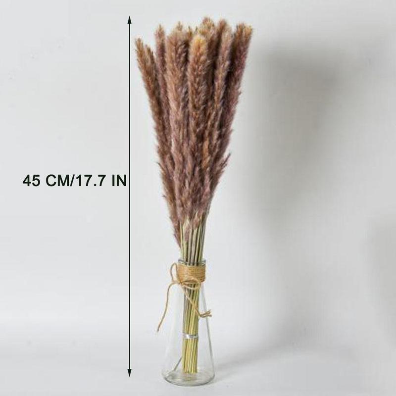 Natural Dried Pampas Grass (100pcs), Home Decorative Grass Dried Flower, Dried Pampas Grass for Home Table Decoration, Party Decor, Room Decor