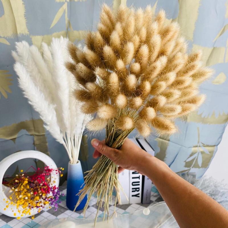 Natural Dried Pampas Grass (100pcs), Home Decorative Grass Dried Flower, Dried Pampas Grass for Home Table Decoration, Party Decor, Room Decor