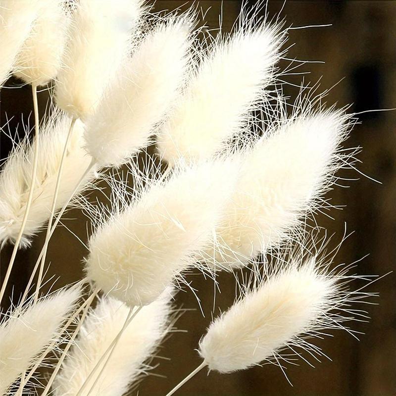 Artificial Bunny Tails Dried Flowers , 30pcs set Faux Pampas Grass, Decorative Flowers for Home Party Wedding Decor, DIY Craft Shooting Props