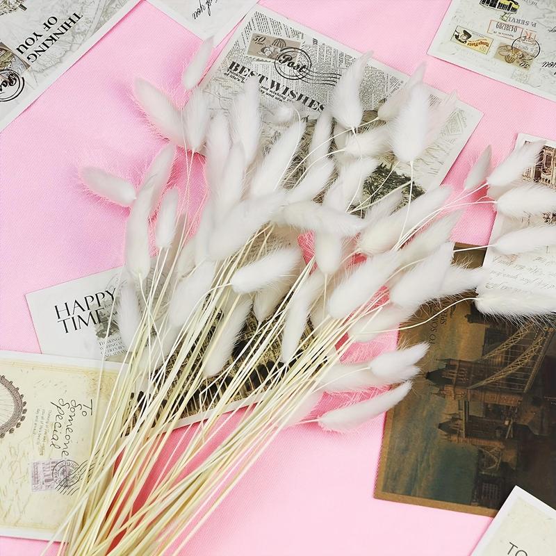 Artificial Bunny Tails Dried Flowers , 30pcs set Faux Pampas Grass, Decorative Flowers for Home Party Wedding Decor, DIY Craft Shooting Props