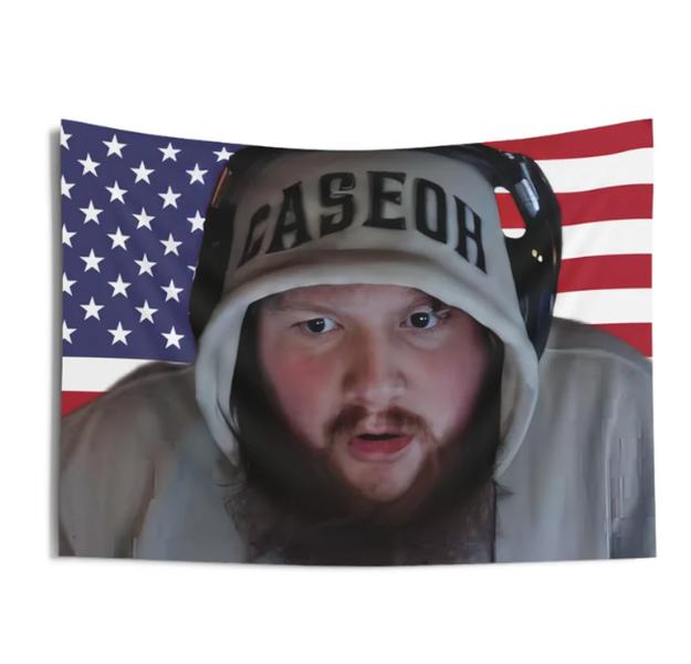 CaseOh American FREE TRACKED shipping Flag Wall Tapestry Wall art decor twitch streamer home bedroom wall decor Tyler the creator kai cenat