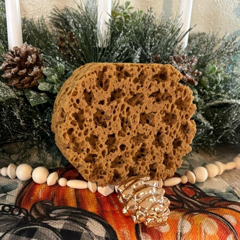 Natural Brown Honeycomb Sponge for Construction and More - Large Round Sponge